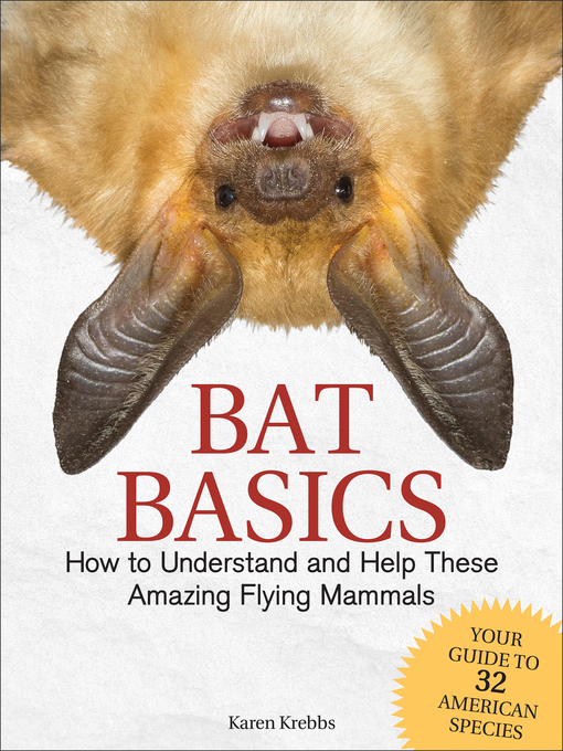 Title details for Bat Basics by Karen Krebbs - Available
